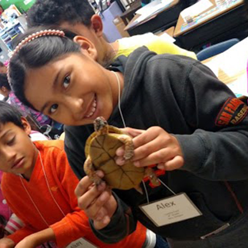 A student holds a turtle.